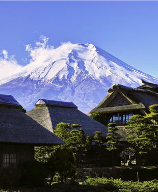 Aktifitas dan Fasilitas Fuji