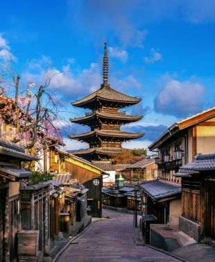 Aktifitas dan Fasilitas Kyoto